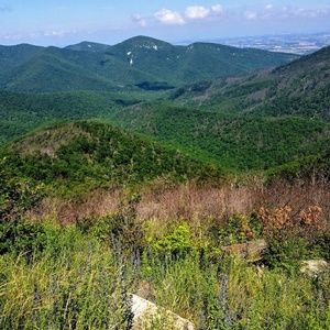 Meet your Posher, Chelsea